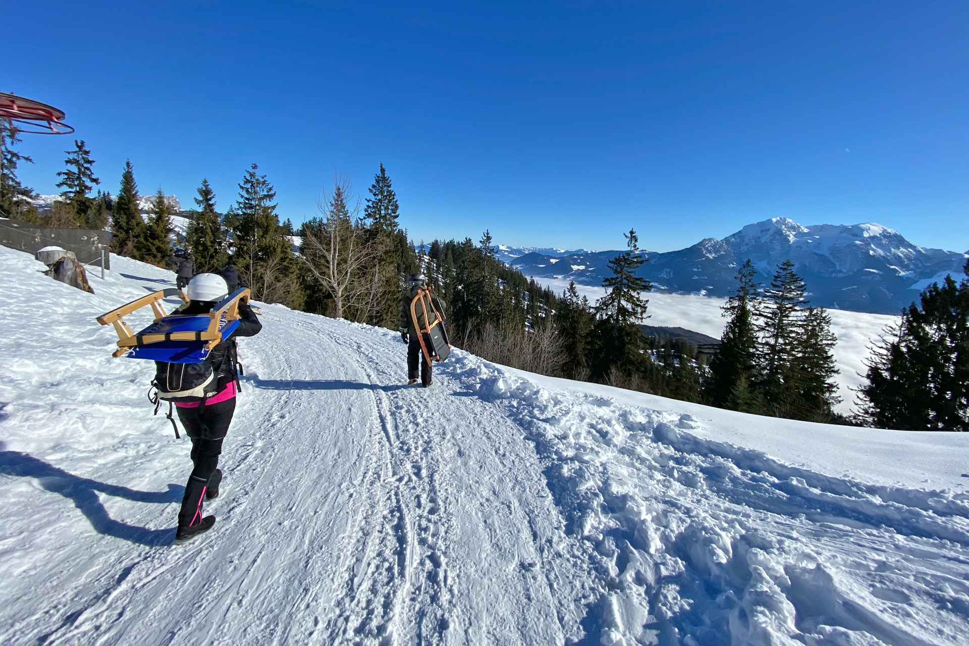 Rodelbahn Hochschwarzeck-Hirscheckblitz