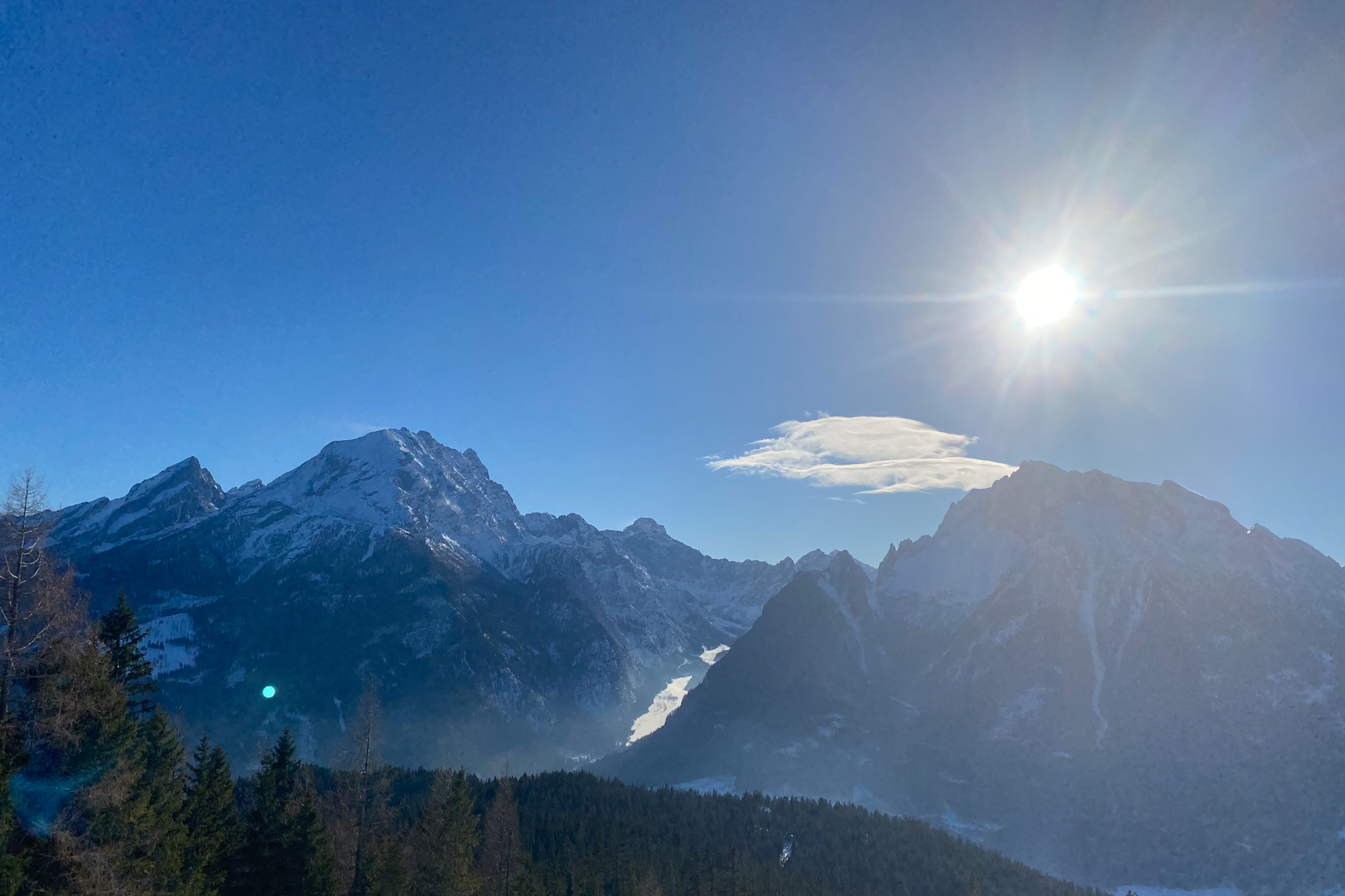 Rodelbahn Hochschwarzeck-Hirscheckblitz