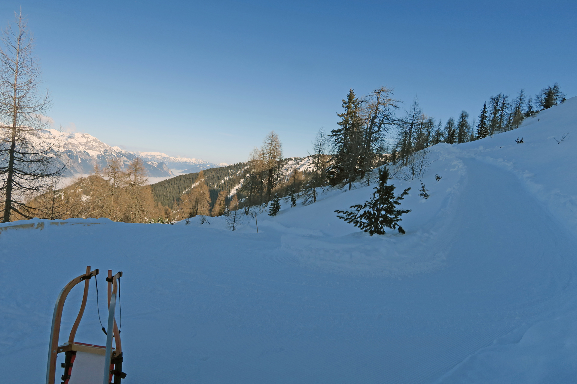 Oberer Teil Rodelbahn Kellerjoch